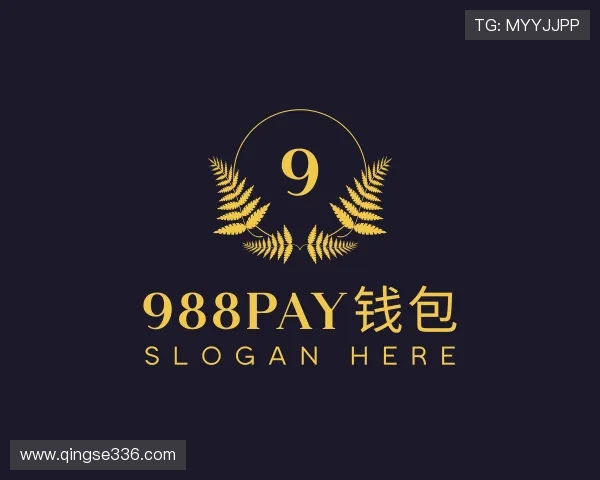 介绍988PAY钱包